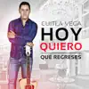 Hoy Quiero Que Regreses - Single album lyrics, reviews, download