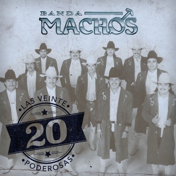 Cover artwork for La suegra