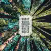 Natural White Noise - Windy Woods Ambience album lyrics, reviews, download
