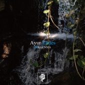 Ayur Times artwork