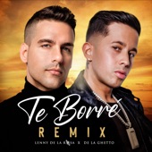 Te Borré (Remix) artwork