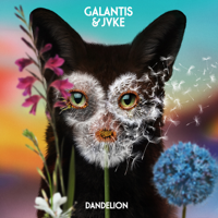 Galantis & JVKE - Dandelion - Single artwork