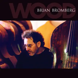 Dolphin Dance by Brian Bromberg song reviws