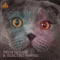 Swingers (Club Swing Edit) - Boiler K & Die Fantastische Hubschrauber lyrics