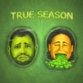 True Season artwork