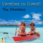 Vacation In Hawaii artwork