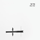 שפל וגאות artwork