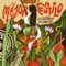 Dueña del Amor Mio - Los Gaiteros de Ovejas lyrics