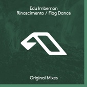 Flag Dance (Extended Mix) artwork