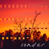 Sonder artwork