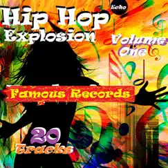 Hip Hop Explosion, Vol. One by Various Artists album reviews, ratings, credits