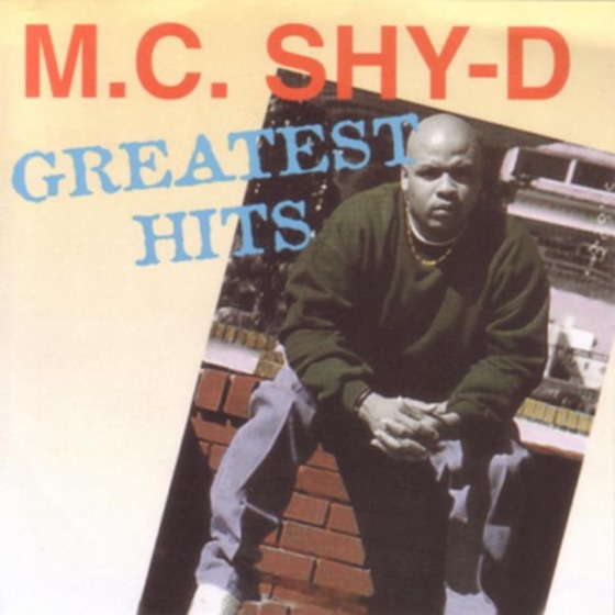 Cover artwork for Shake It