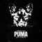 Puma artwork