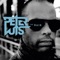 The Rain (Kid Massive Audiodamage Dub Mix) - Peter Luts lyrics