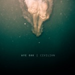 Wye Oak - Holy Holy