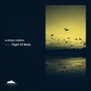 Flight of Birds - Single, 2021