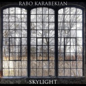 Skylight artwork