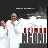 Ndinzwe Mambo artwork