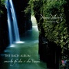 Diana Doherty - Concerto for Oboe d'amore, Strings, and Continuo in A, BWV 1055: 1. Allegro moderato
