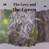 The Grey and the Green