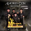 Amores Con Mi Estilo - Single