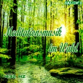 Meditationsmusik im Wald artwork