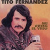 Os Guatones y los Pelaos by Tito Fernández iTunes Track 1
