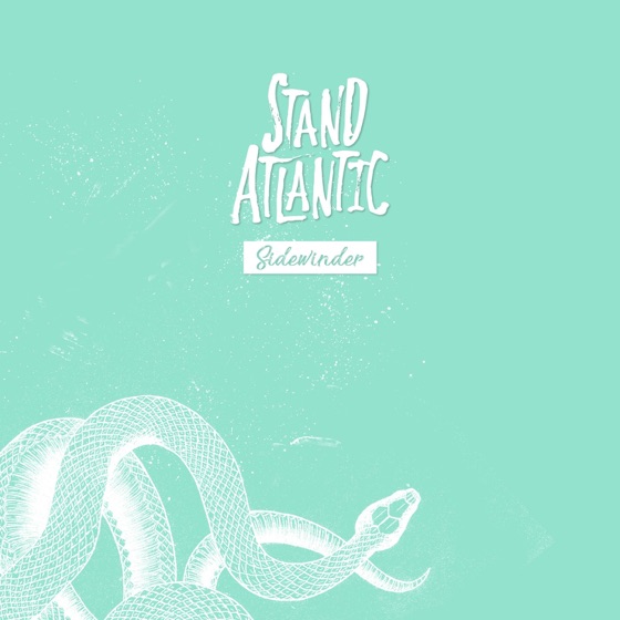 Cover artwork for Sidewinder