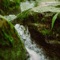 Gentle River Sounds - Binaural Loopable artwork