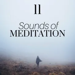 11 Sounds of Meditation: Mindfulness Exercises, Yoga Workout, Anxiety Free, Natural Sleep Aid by Meditation Club & Tibetan Meditation Music album reviews, ratings, credits
