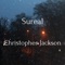 Sureal - Christopher Jackson lyrics