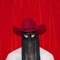 Buffalo Run - Orville Peck lyrics