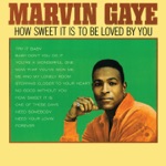 Marvin Gaye - You're a Wonderful One