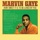 Marvin Gaye-How Sweet It Is