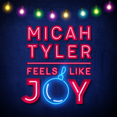 Feels Like Joy - Micah Tyler Cover Art