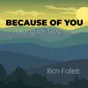Because of You (A Song for Teachers) - Single album lyrics, reviews, download