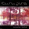 Palante Patrá album lyrics, reviews, download