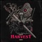 Harvest - Kayp lyrics