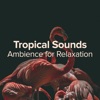 Tropical Sounds for Relaxation