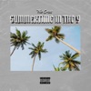 Summertime In The 9 - Single