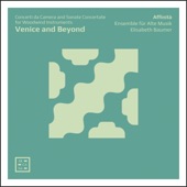 Venice and Beyond: Concerti da Camera & Sonate Concertate for Woodwind Instruments artwork
