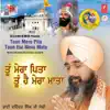 Toon Mera Pita Toon Hai Mera Mata album lyrics, reviews, download