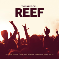 Reef - Place Your Hands artwork