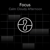 Focus: Calm Cloudy Afternoon artwork