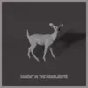 Caught in the Headlights - Single album lyrics, reviews, download