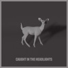 Caught in the Headlights - Single