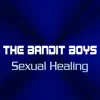 Sexual Healing - Single album lyrics, reviews, download