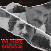 I'm Not a Regular Nigga (feat. Pachino Escobar) artwork