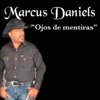 Ojos De Mentiras - Single
