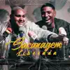 Sacanagem Liberada - Single album lyrics, reviews, download